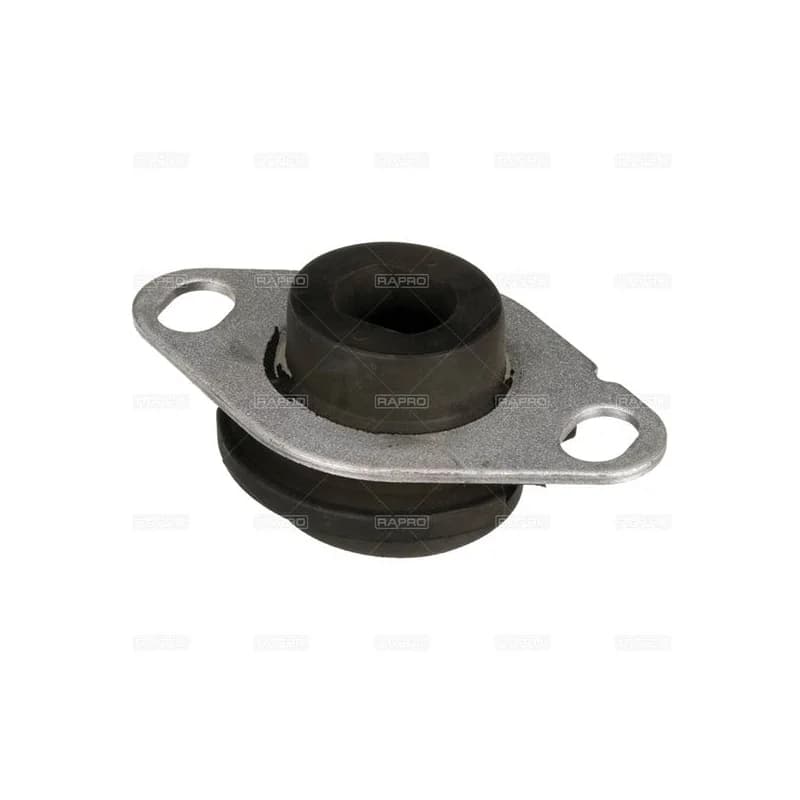 Renault Clio Megane Kangoo Sol Motor Takozu RAP-55141 7700788318 8200089697