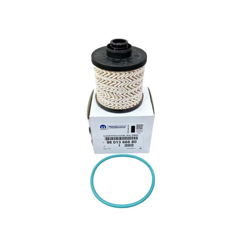Peugeot Citroen 1.6 Hdi Dw6 Euro 6 Mazot Filtresi 9801366680