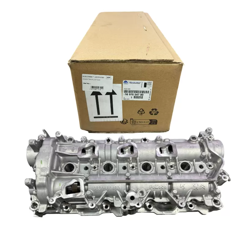Peugeot Citroen 1.5 Hdi Dv5 Eksantrik Mil Kiti 8mm Zincir Orijinal PSA 1697054780 1638159880